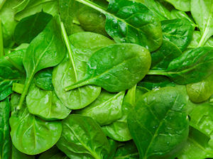 Spinach